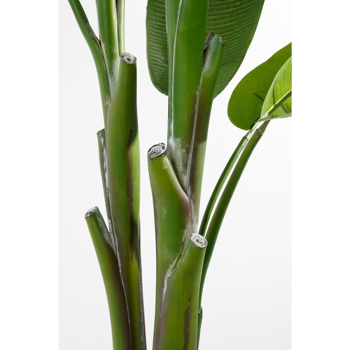 Künstliche Heliconia-Pflanze – H175 x Ø140 cm – Grün