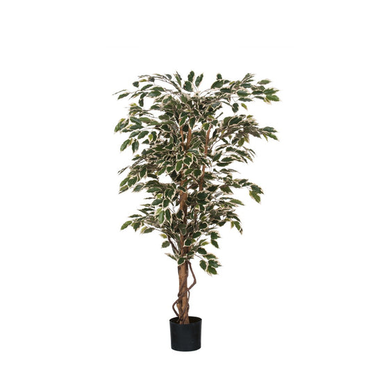 Künstliche Ficus-Pflanze – H150 x Ø75 cm – grün bunt