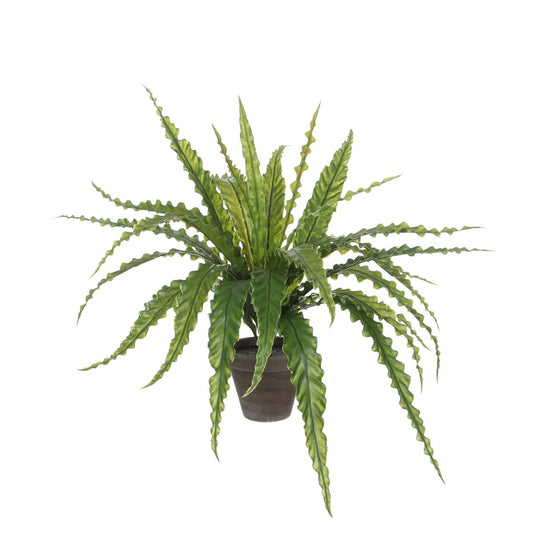 Künstliche Asplenium-Pflanze im Blumentopf Stan – H54 x Ø66 cm – Grün