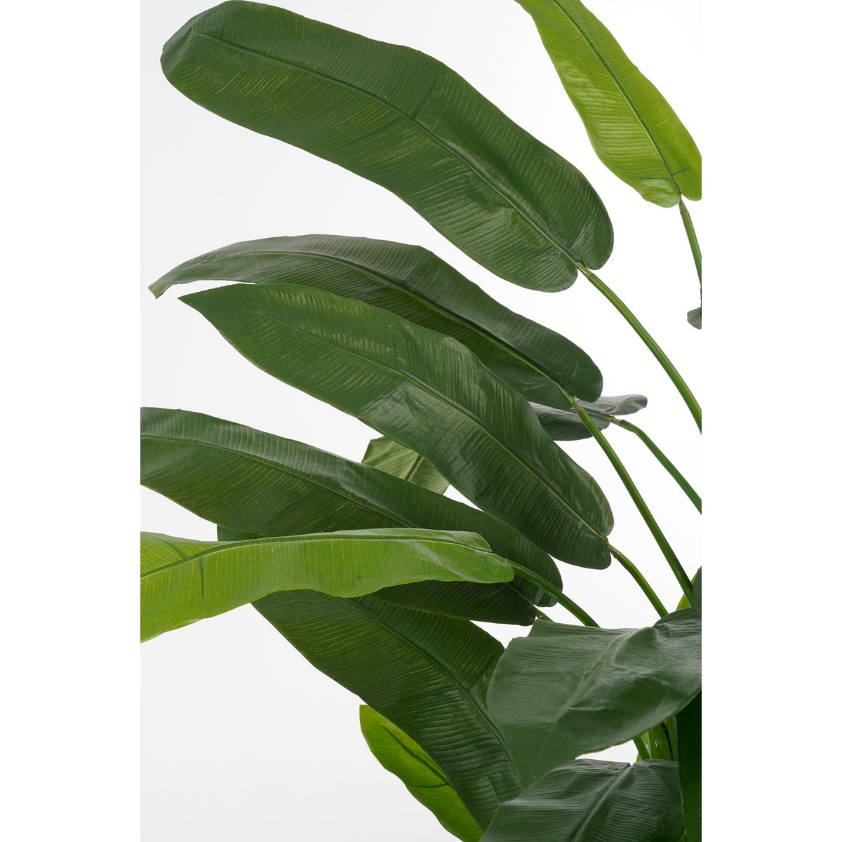 Künstliche Heliconia-Pflanze – H175 x Ø140 cm – Grün