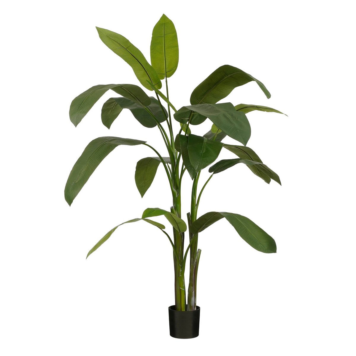 Künstliche Heliconia-Pflanze – H175 x Ø140 cm – Grün