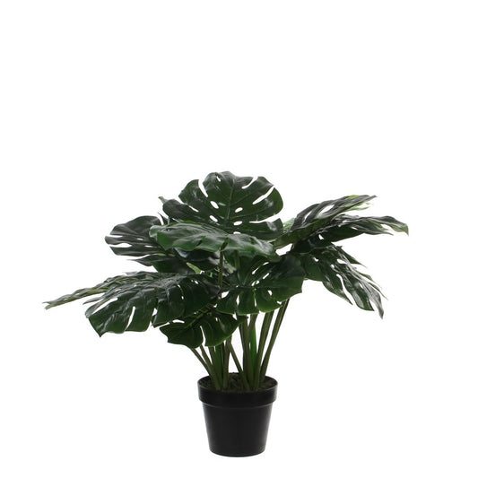 Künstliche Pflanze Monstera – H60 x Ø80 cm – Grün